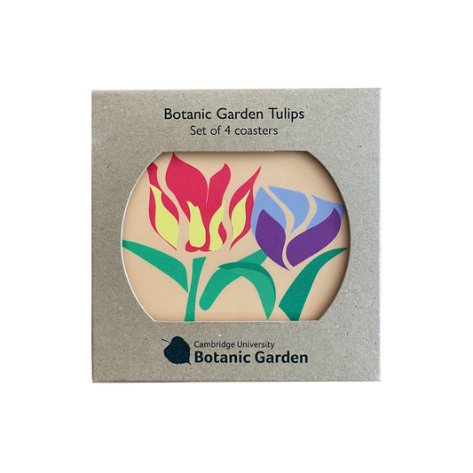 Tulips Stencil - Set of 4 Coasters