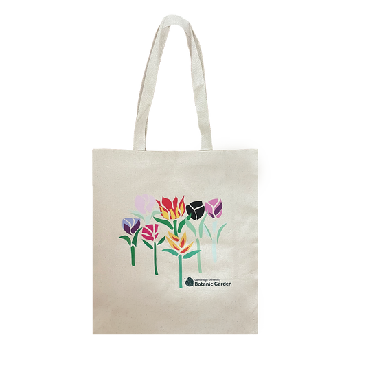 Tulip Stencil - Tote Bag