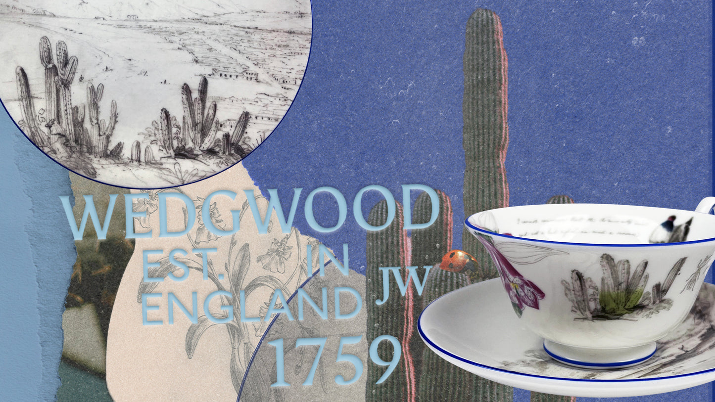 Darwin's Voyage of the Beagle: Chile - 3 piece tea set