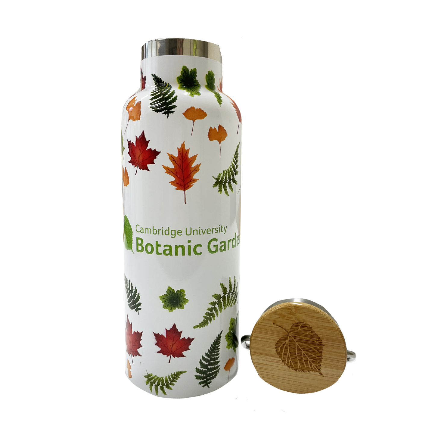 Botanic Garden Leaves - Water Bottle