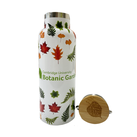 Botanic Garden Leaves  - Water Bottle
