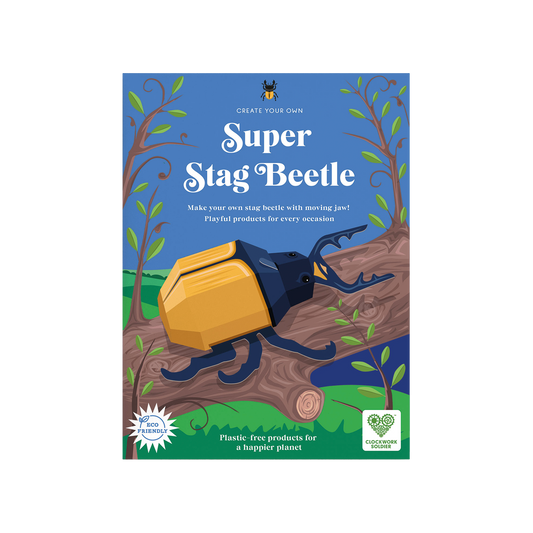 Create Your Own Super Stag Beetle - Activity set