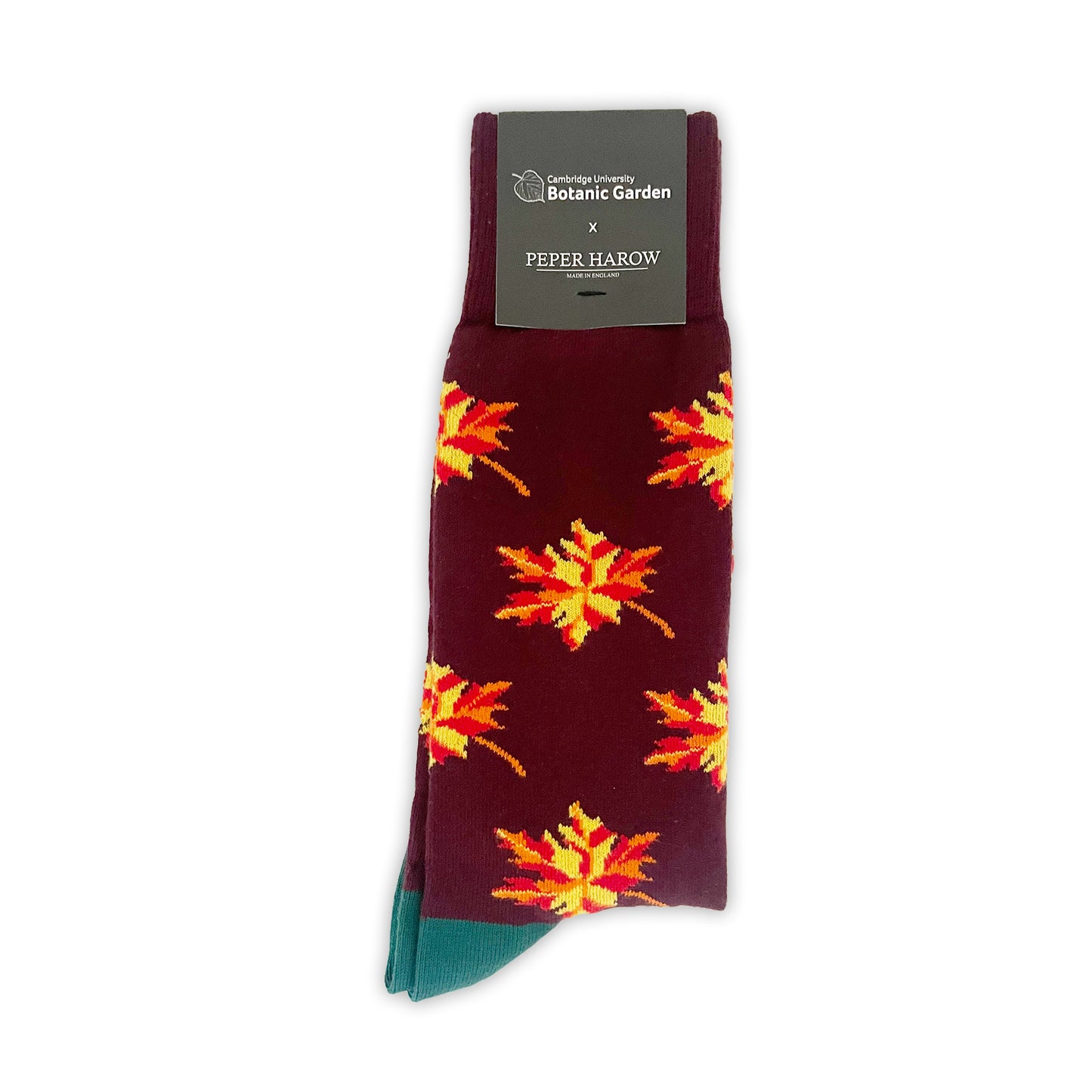 Autumn Leaves - Men's socks