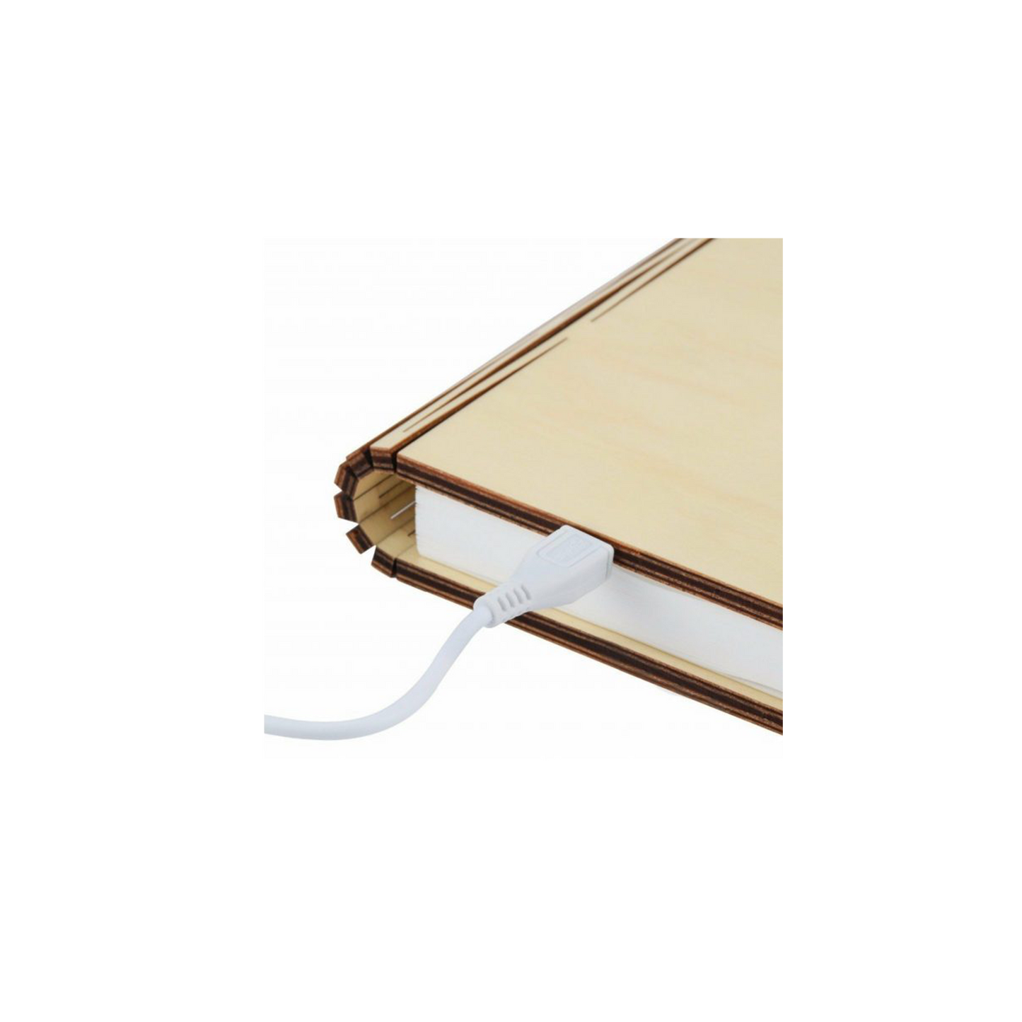 Cambridge University Book Light