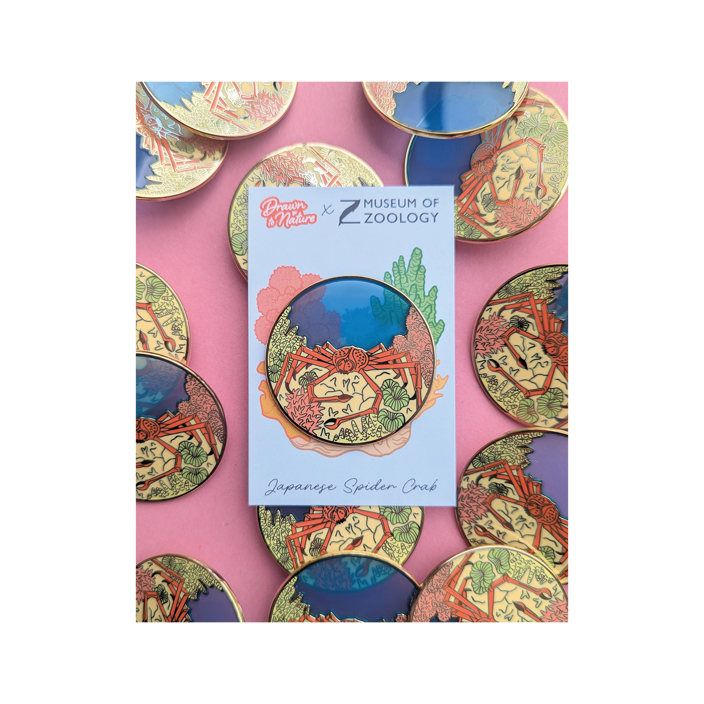 Japanese Spider Crab - Brooch