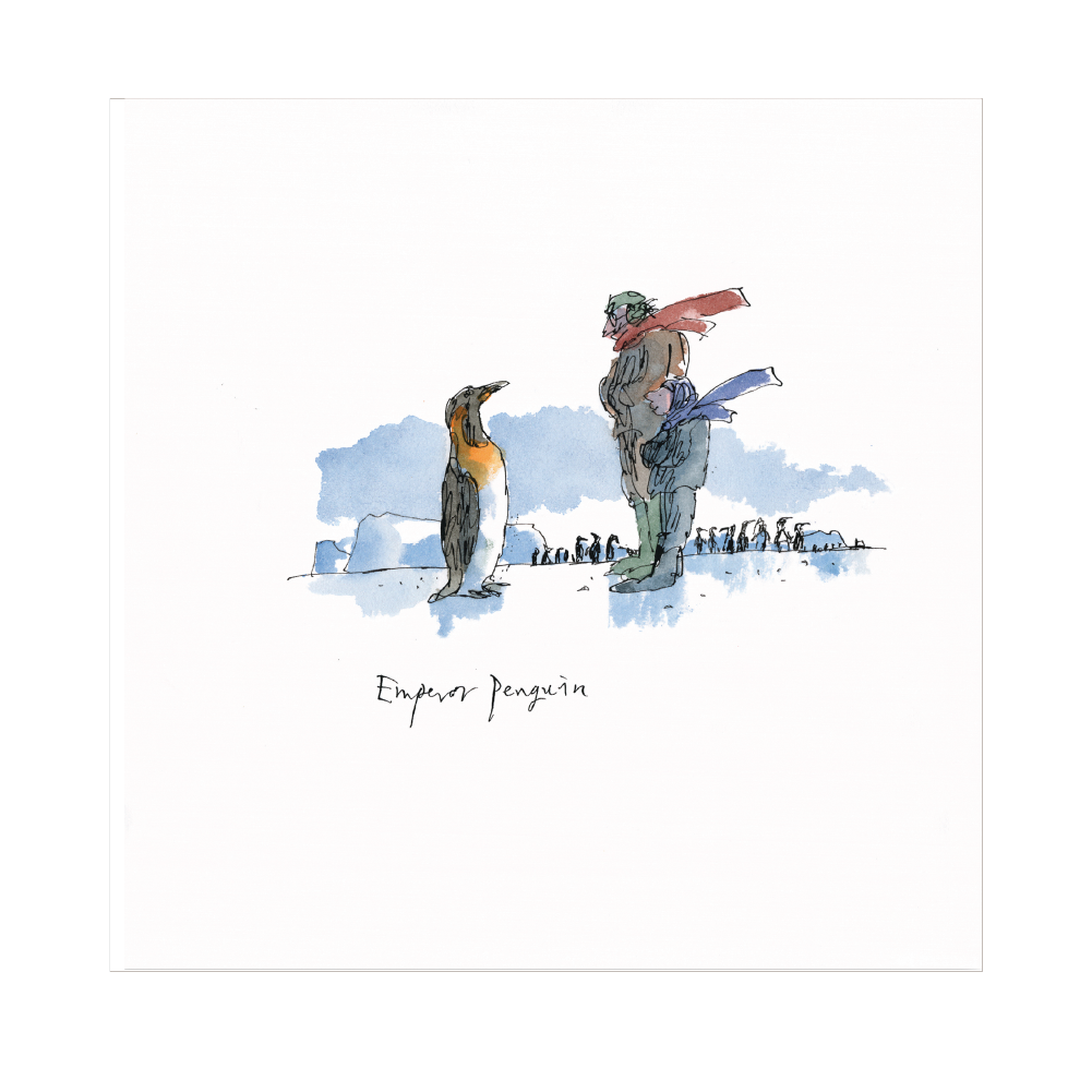 Emperor Penguin by Quentin Blake - Christmas card pack