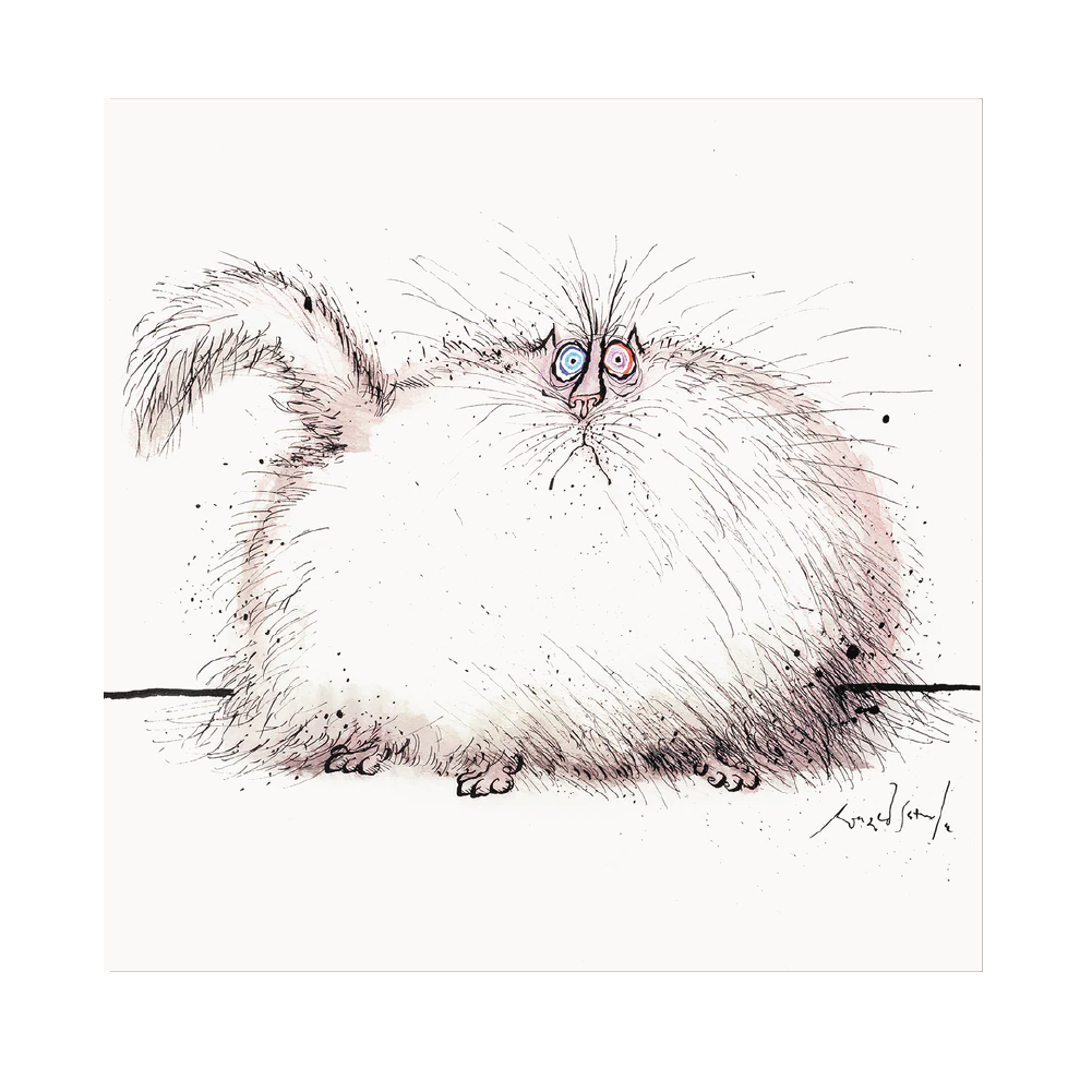 Remarkably Hairy Cat - Greeting Card