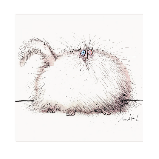 Remarkably Hairy Cat - Greeting Card