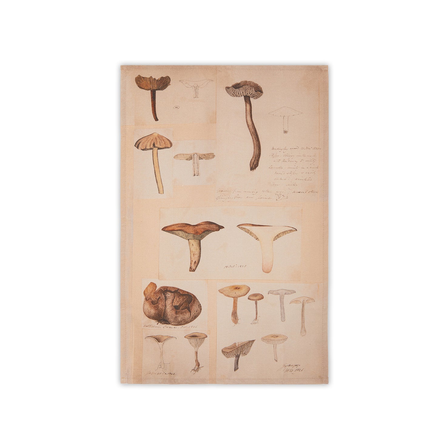 Illustrations of Fungi - Tea towel