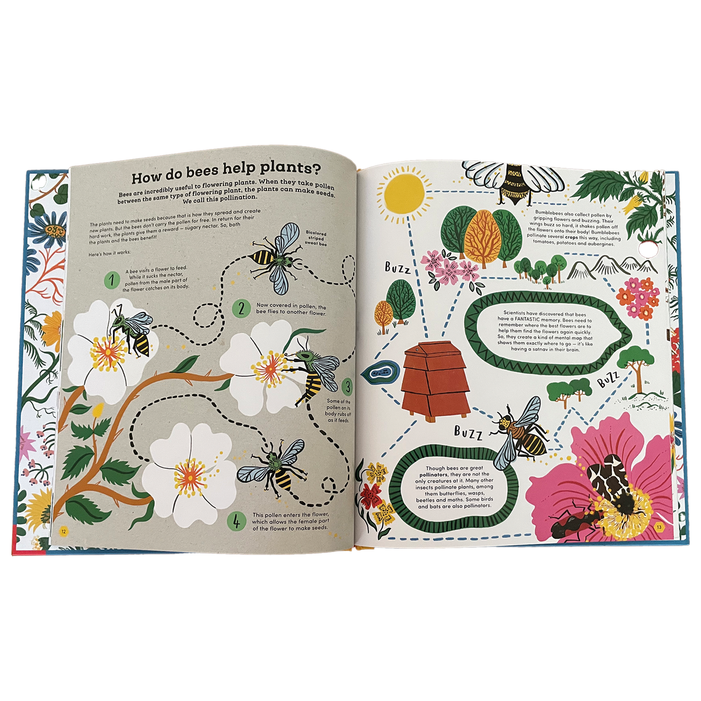 Think Big! Secrets of Bees