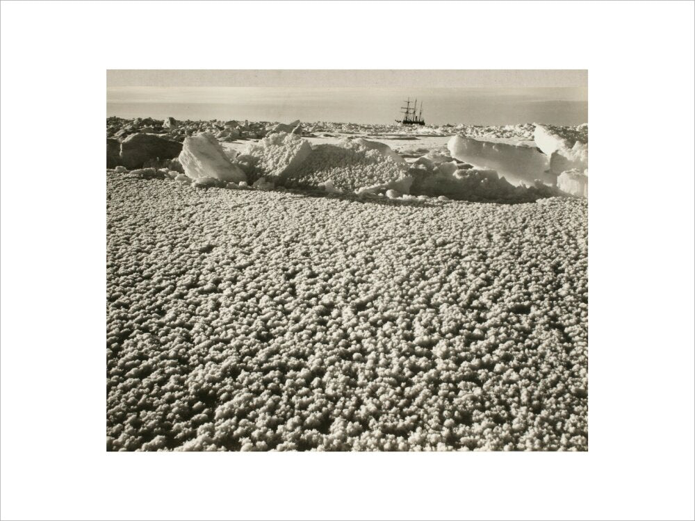 New leads covered with ice flowers in early spring