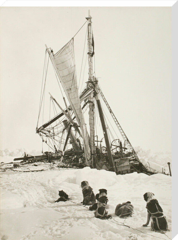 "Endurance" crushed by the ice and sinking