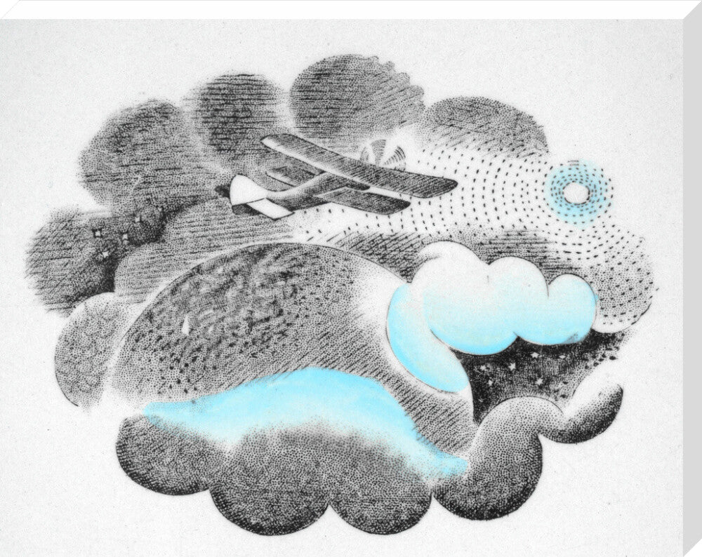 Aeroplane from 'Travel' series - Art print