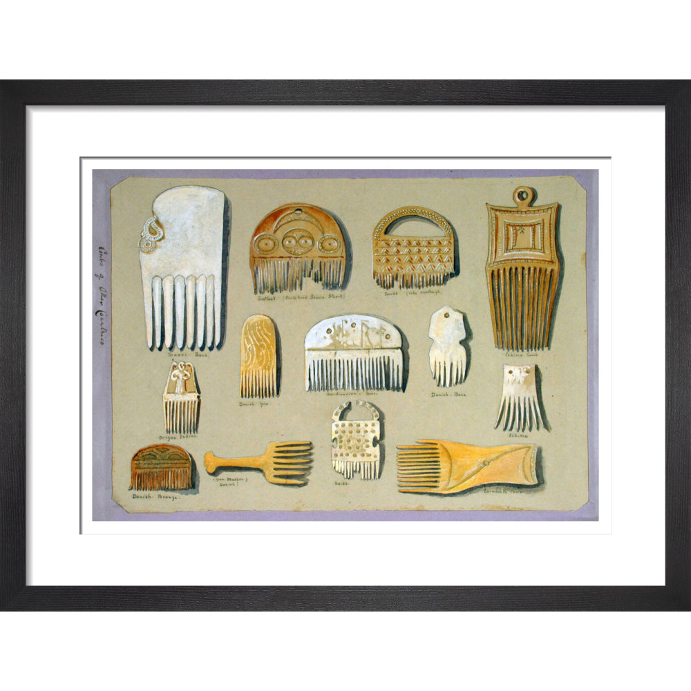 Combs - Art print