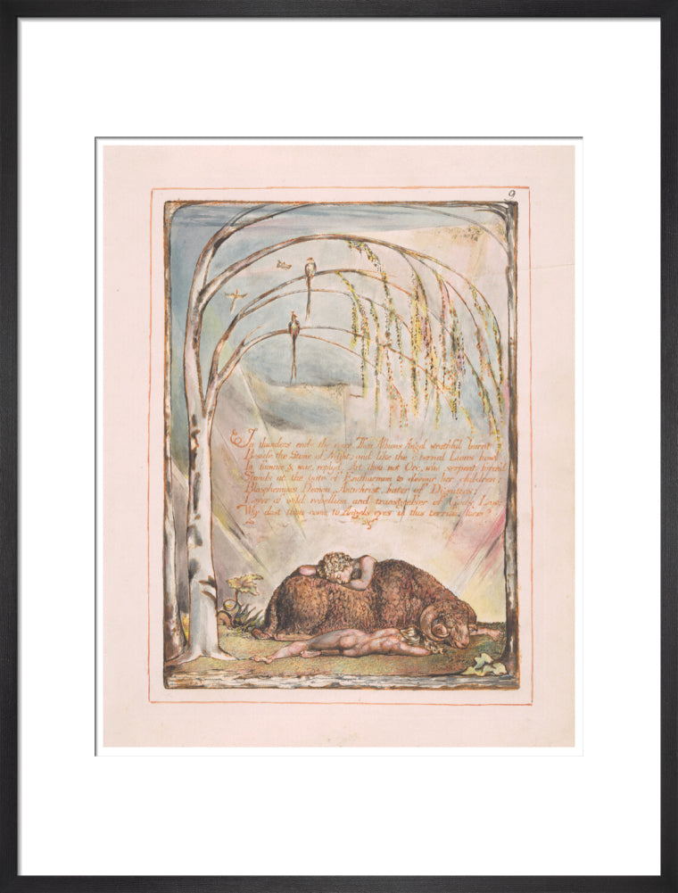 In thunders ends the voice - Art print