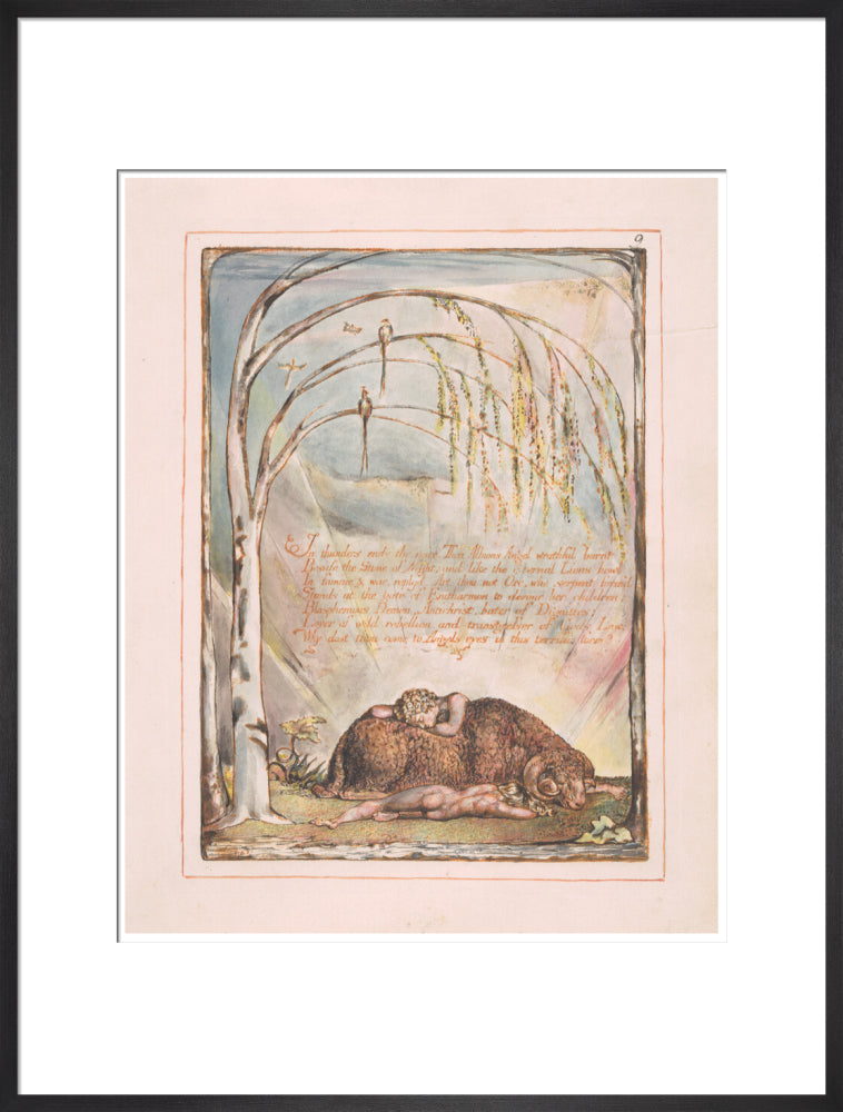 In thunders ends the voice - Art print