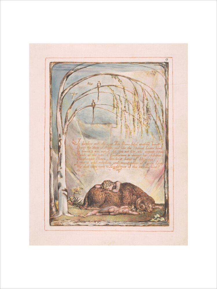 In thunders ends the voice - Art print