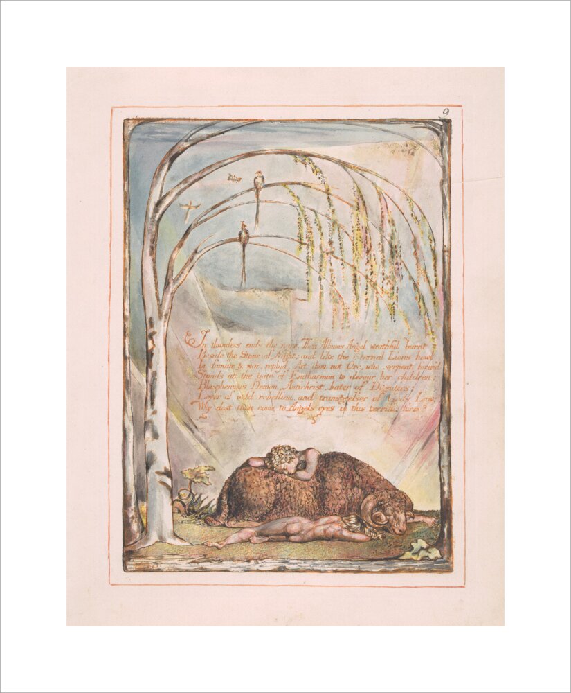 In thunders ends the voice - Art print