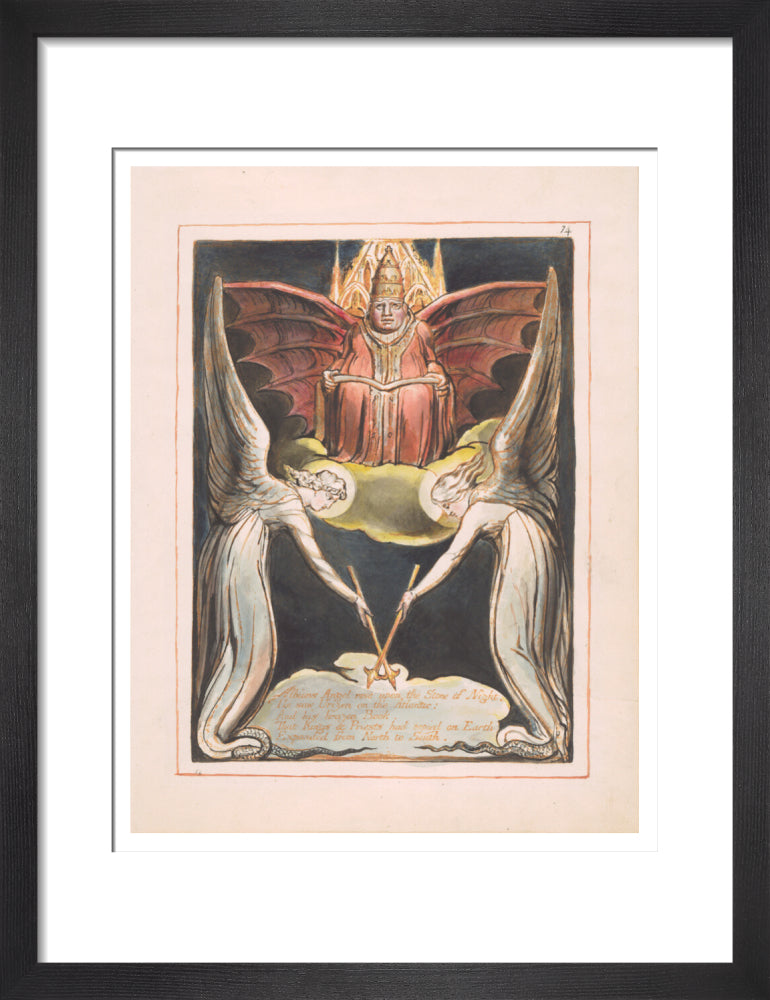 Albion's Angel rose - Art print