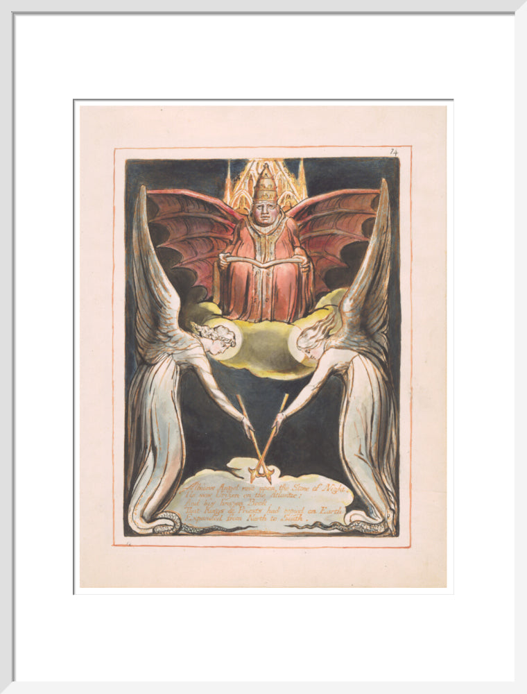 Albion's Angel rose - Art print