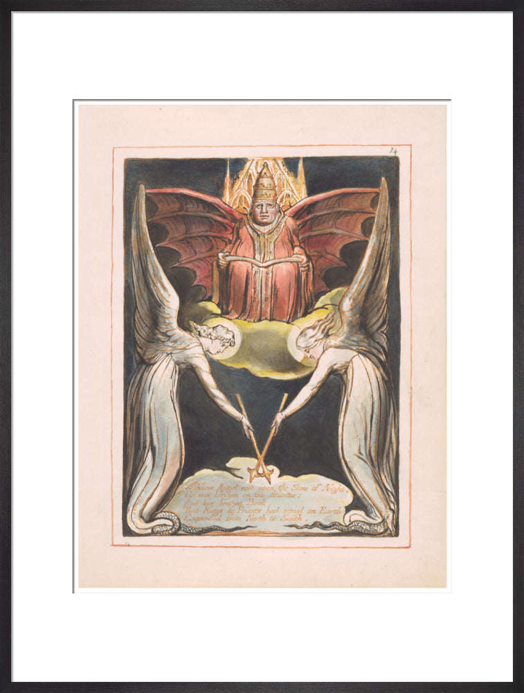 Albion's Angel rose - Art print