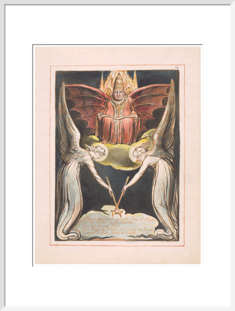 Albion's Angel rose - Art print