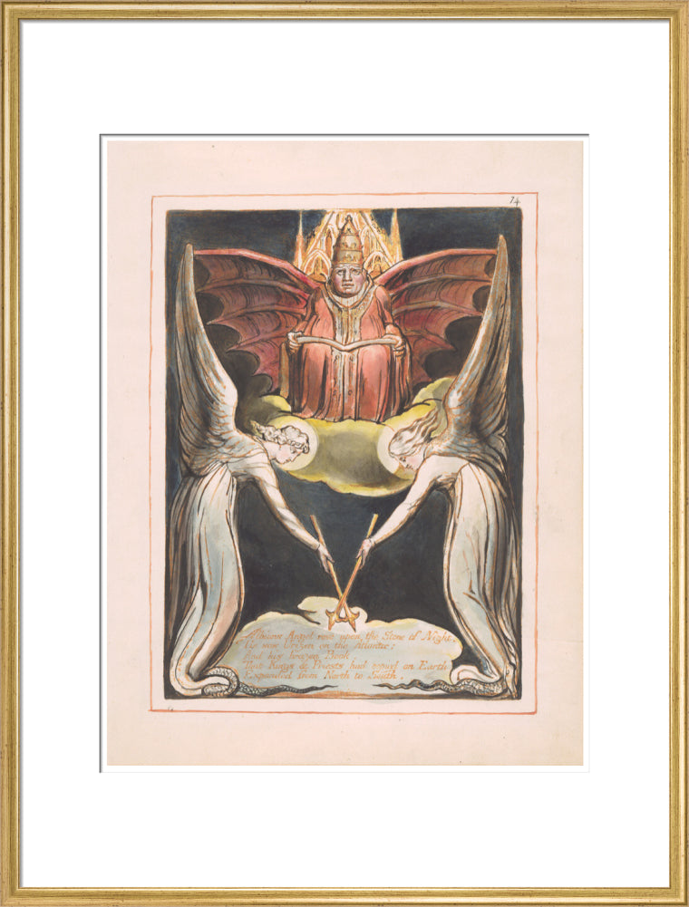 Albion's Angel rose - Art print