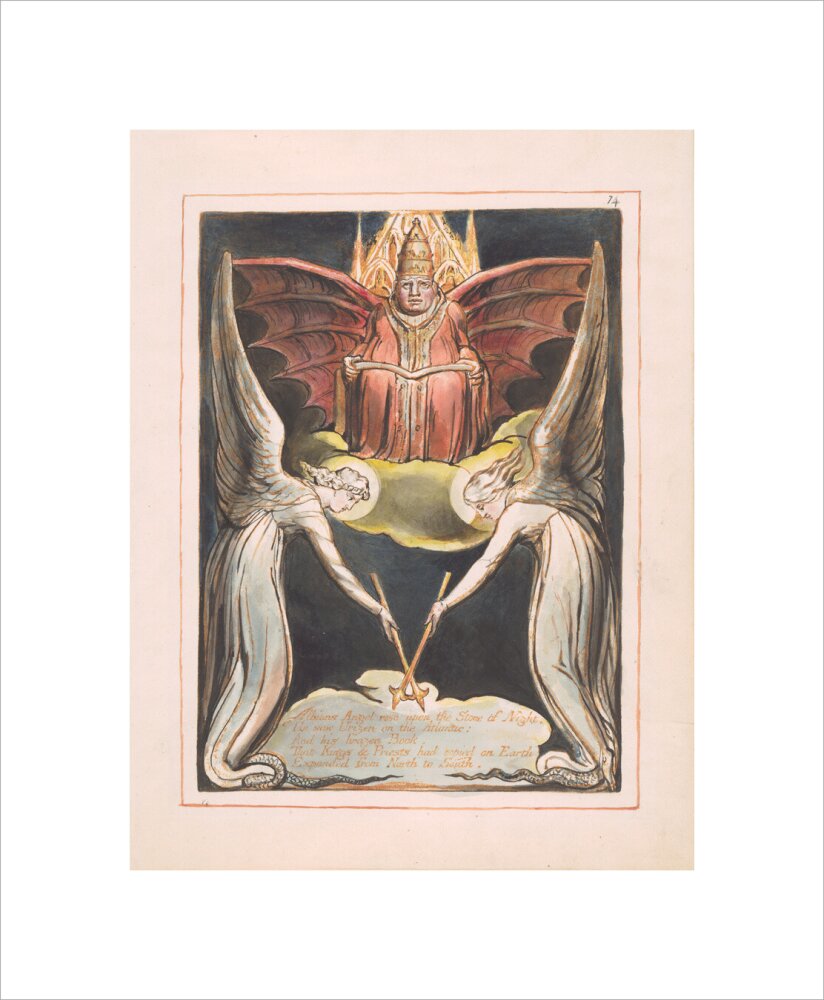 Albion's Angel rose - Art print