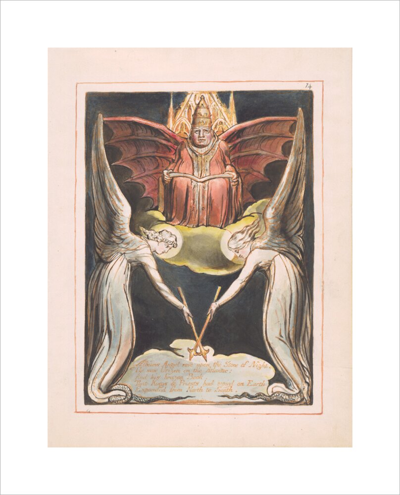 Albion's Angel rose - Art print