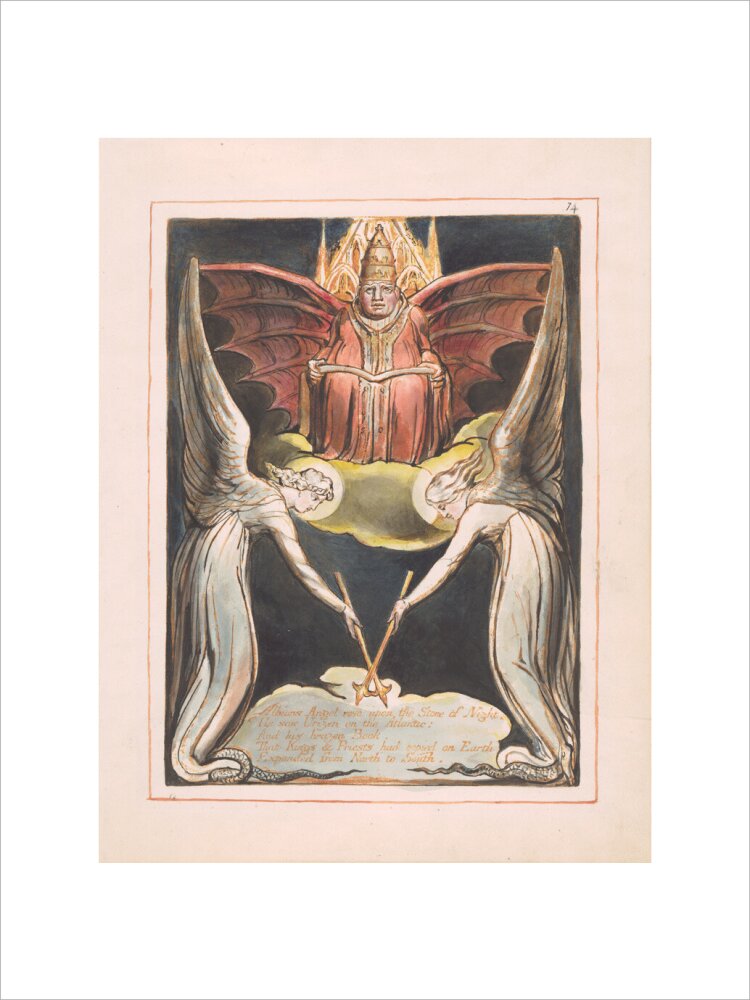 Albion's Angel rose - Art print