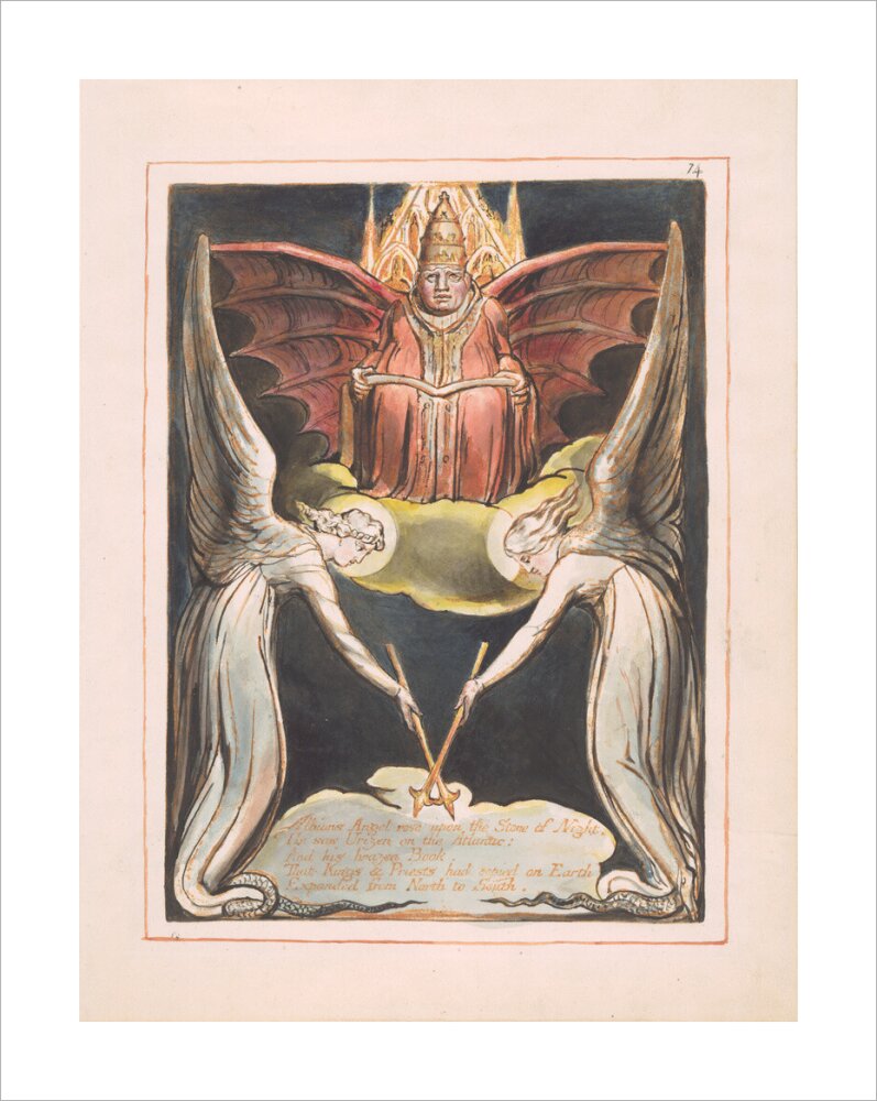 Albion's Angel rose - Art print