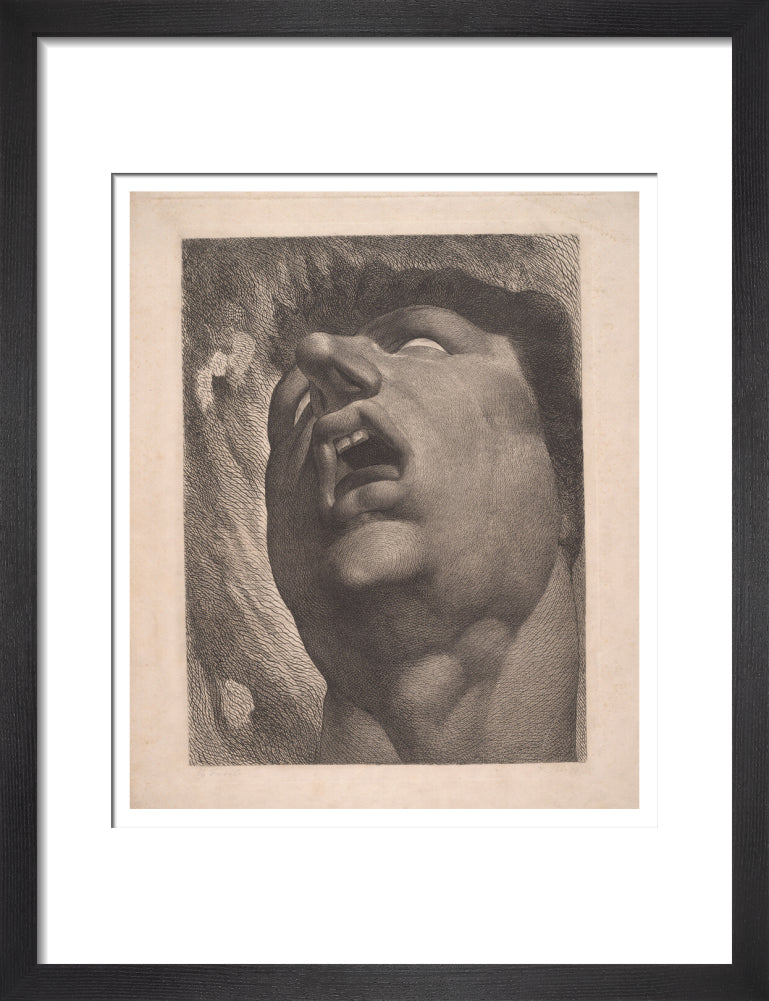 Head of a Damned Soul - Art print