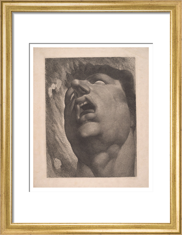 Head of a Damned Soul - Art print