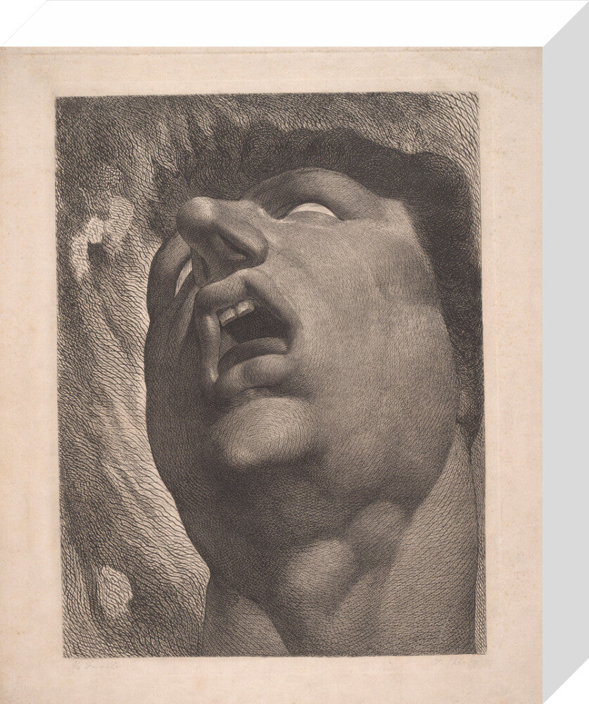 Head of a Damned Soul - Art print