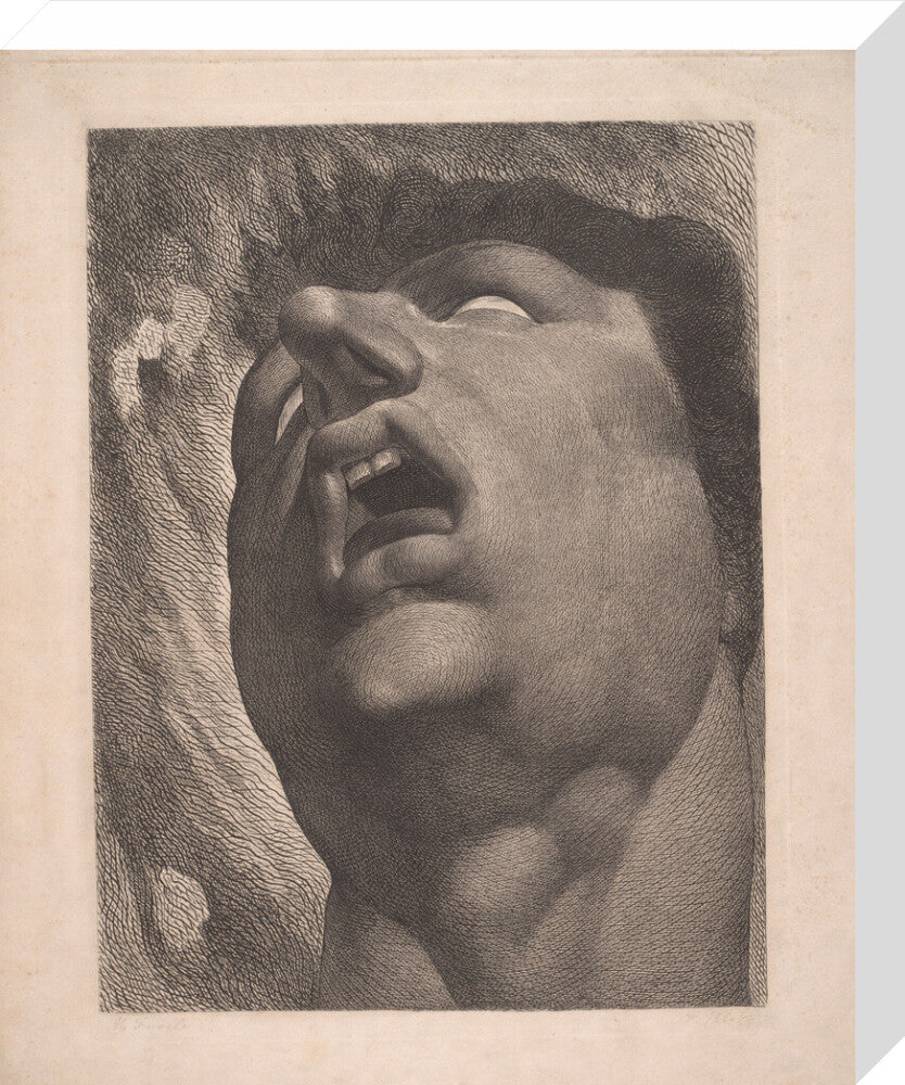 Head of a Damned Soul - Art print