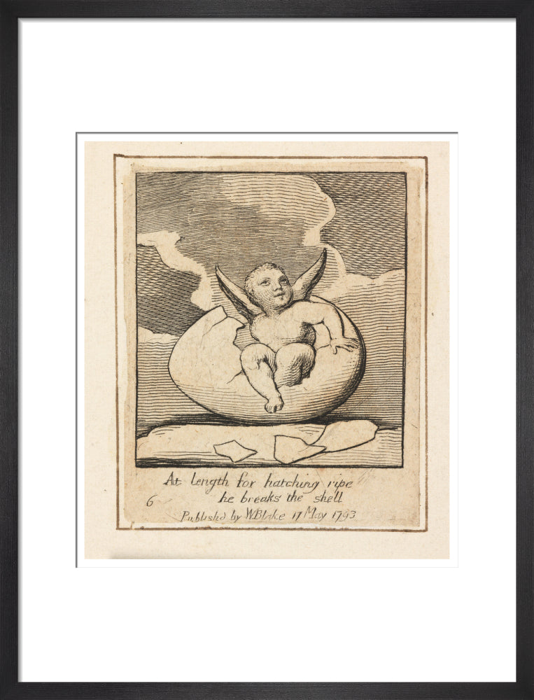 At length for hatching ripe - Art print