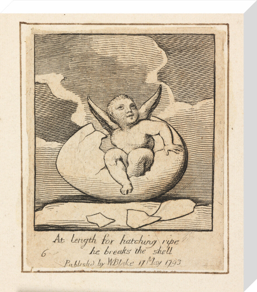 At length for hatching ripe - Art print