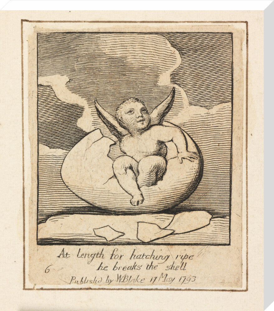 At length for hatching ripe - Art print