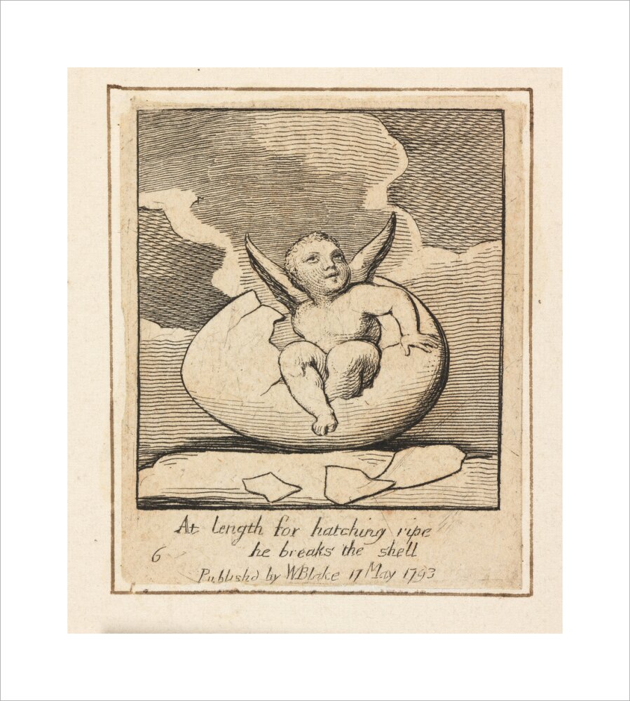 At length for hatching ripe - Art print