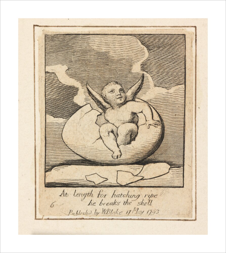 At length for hatching ripe - Art print