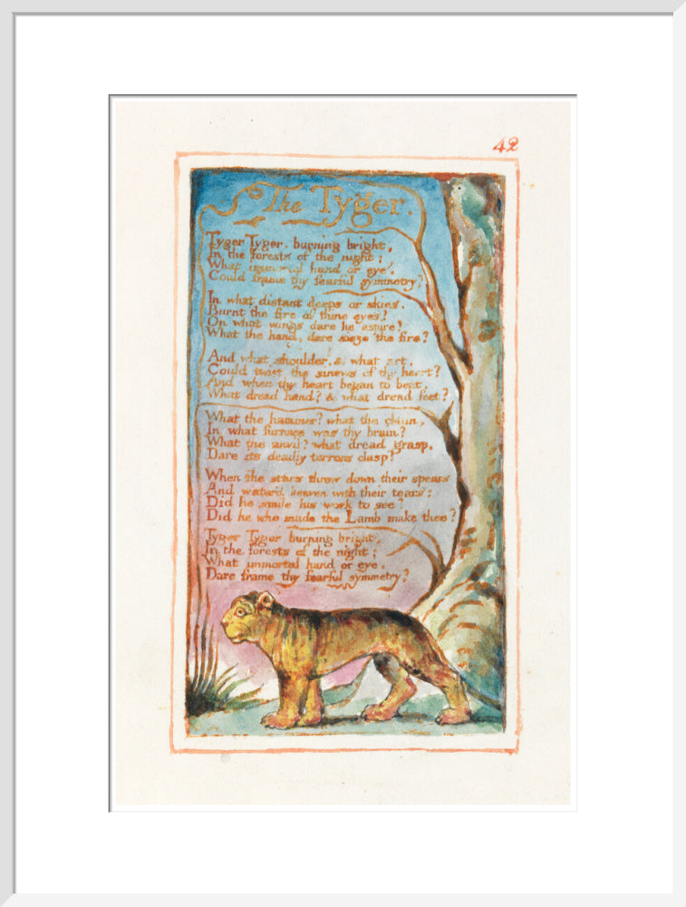 The Tyger - Art print