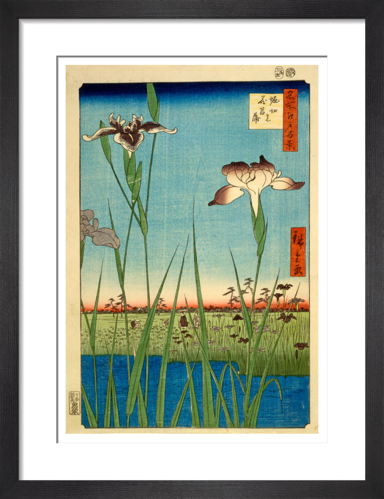 Iris Garden at Horikiri - Art print