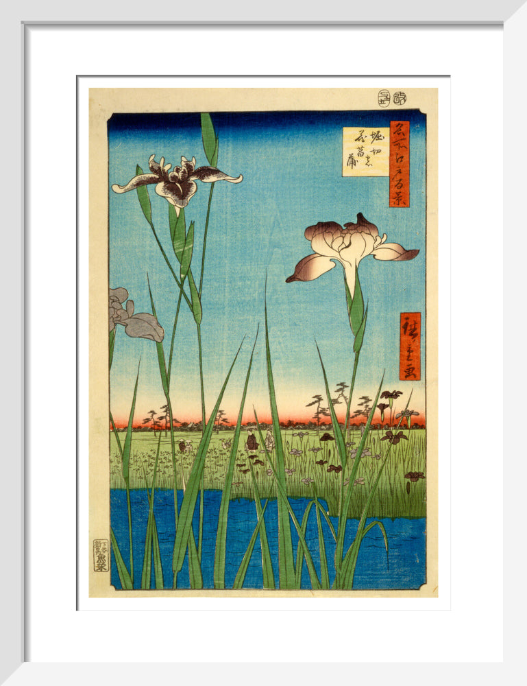 Iris Garden at Horikiri - Art print