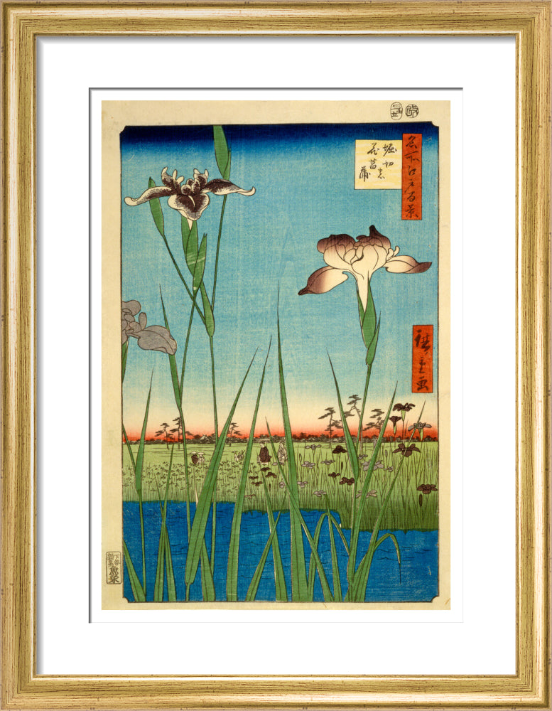 Iris Garden at Horikiri - Art print
