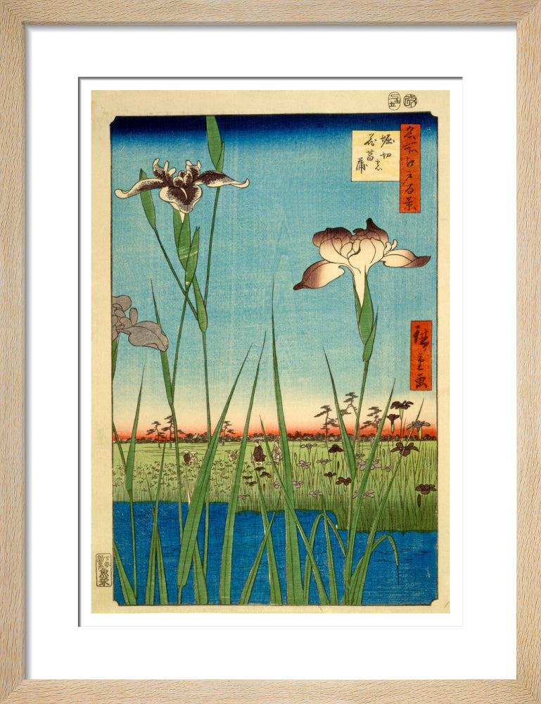 Iris Garden at Horikiri - Art print