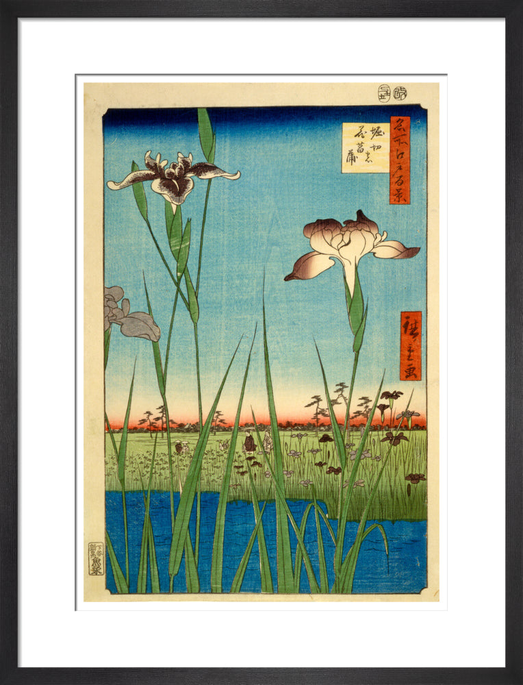 Iris Garden at Horikiri - Art print