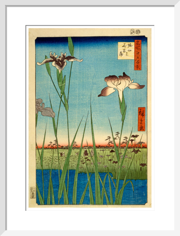 Iris Garden at Horikiri - Art print