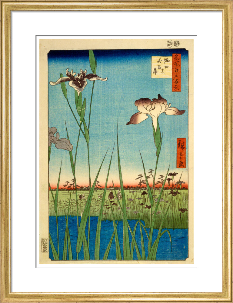 Iris Garden at Horikiri - Art print
