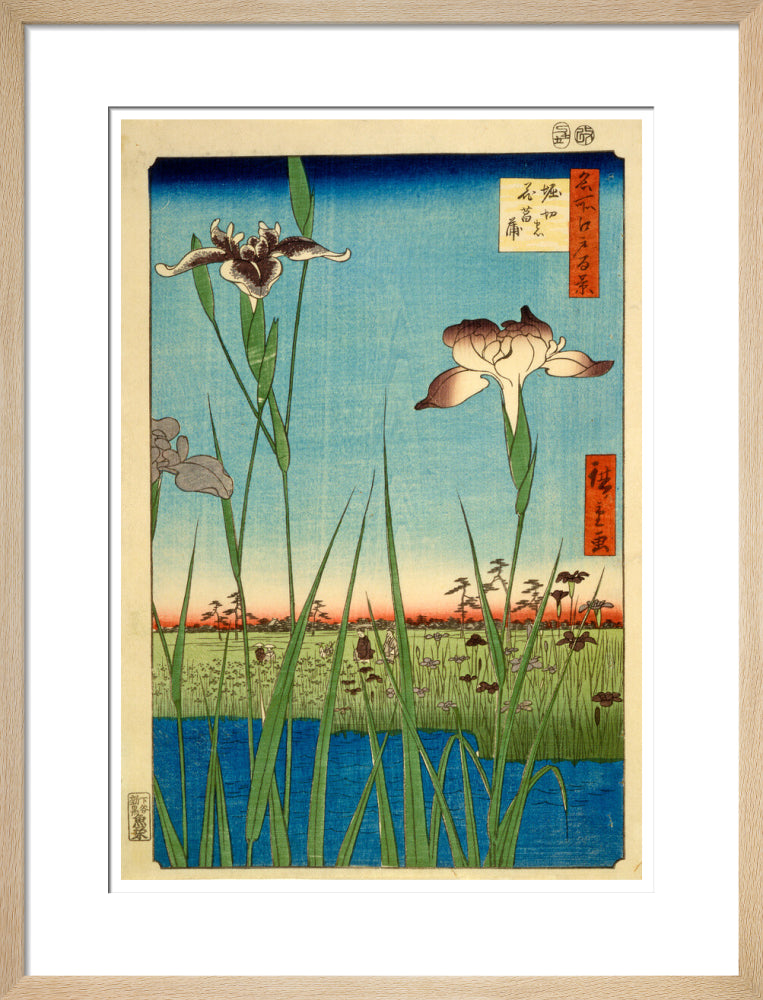 Iris Garden at Horikiri - Art print