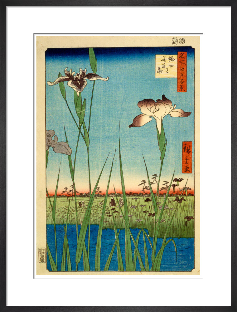Iris Garden at Horikiri - Art print